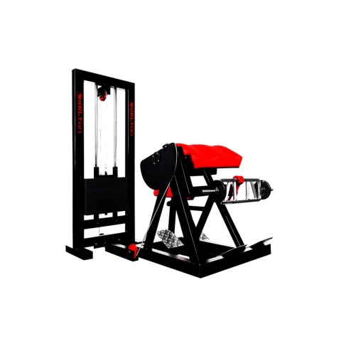 Kelton maszyna na mięśnie bicepsa PMS13s