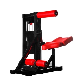 Kelton mięśnie brzucha PMS1s