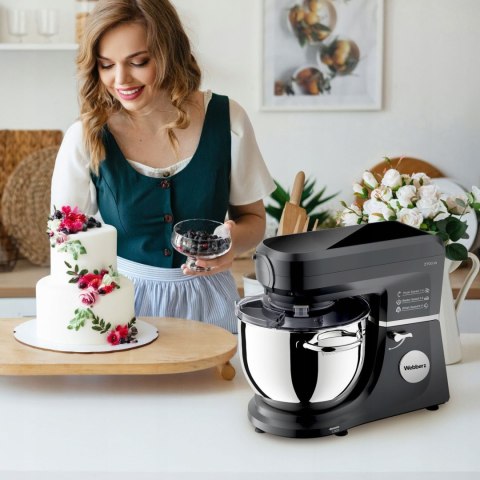 Robot planetarny Webber MODERN SM17