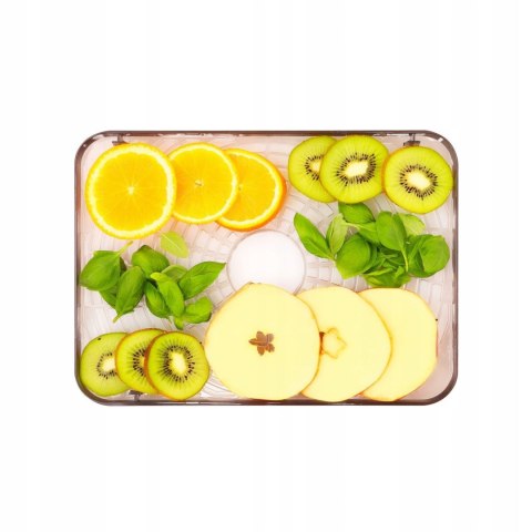 Suszarka do grzybów owoców warzyw IK3301 400W 5 sit timer LED