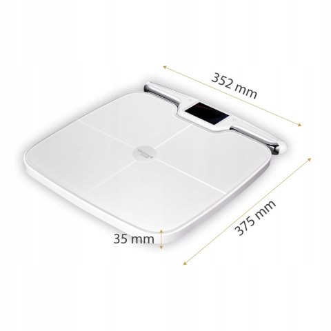 Waga łazienkowa inteligentna LIORA PS577 Webber PRO+ WiFi