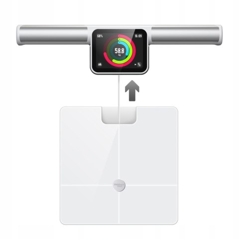 Waga łazienkowa inteligentna SIENA PS636 Webber PRO+ WiFi