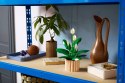LEGO Botanical 11504 Skrzydłokwiat w doniczce