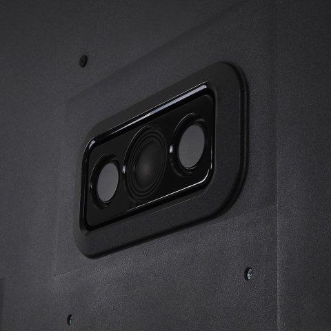 Telewizor 55" Philips 55PUS8919/12