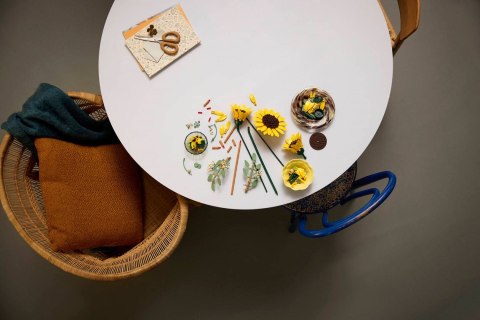 LEGO Botanicals 11502