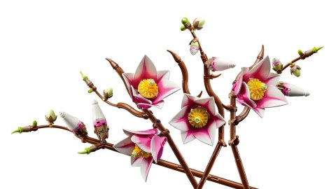 LEGO Botanicals 11510