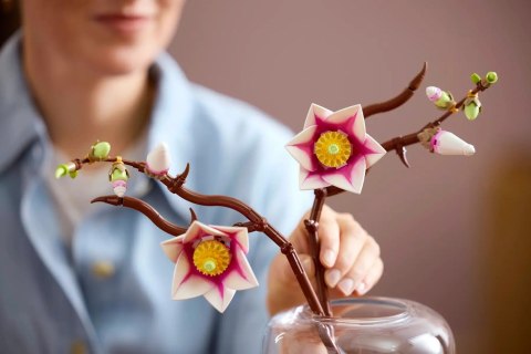 LEGO Botanicals 11510