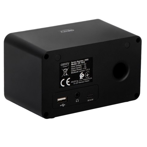 Radio CAMRY CR 1918 Wi-Fi