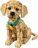 LEGO 11384 Icons - Szczeniak golden retriever