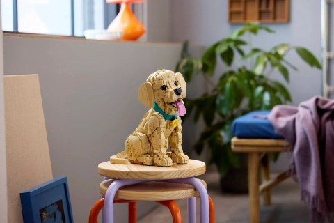 LEGO 11384 Icons - Szczeniak golden retriever