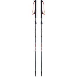 Kije dla dorosłych VIKING Mission FS skitourowe składane szare UNI