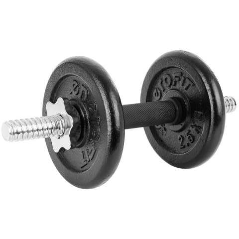 Hantle żeliwne 19kg walizka Enero Fit zestaw 2x9,5kg regulowane
